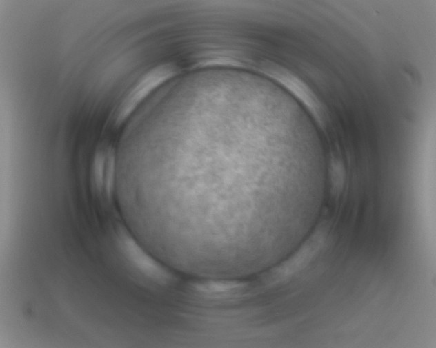 X0000114221290200910231435