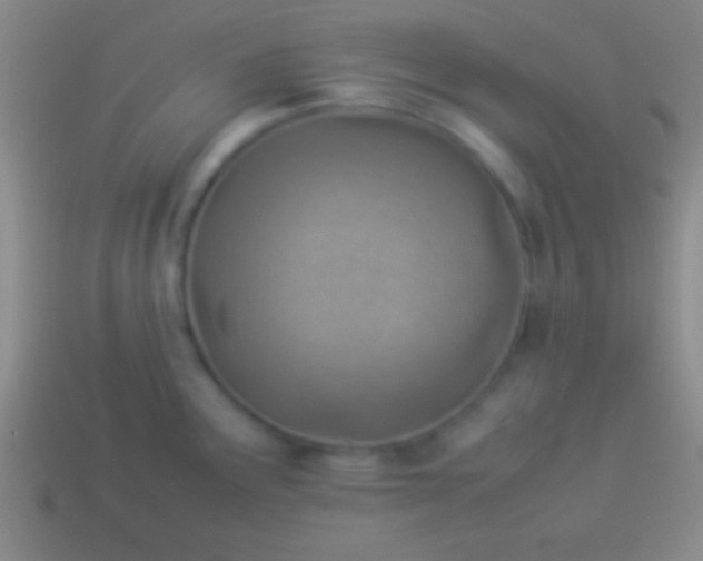 X0000114221291200910231435