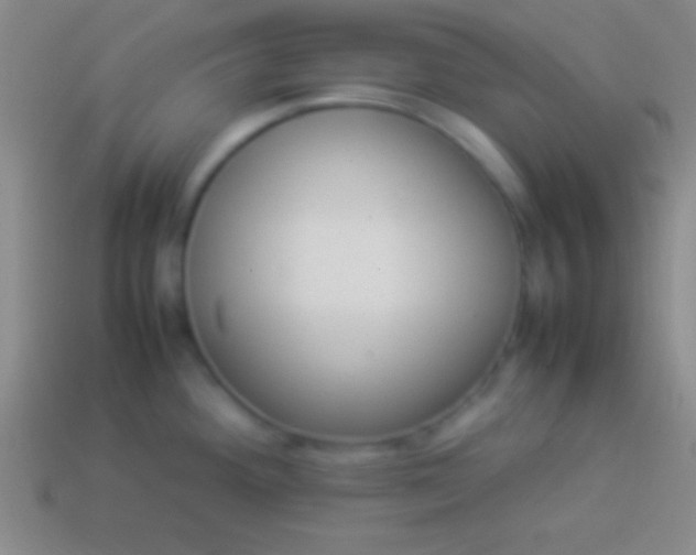 X0000114221292200910231435