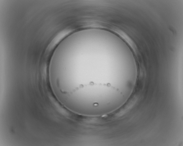 X0000114221293200910231435