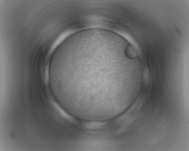 X0000114221294200910231435