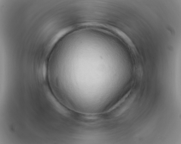 X0000114221295200910231435