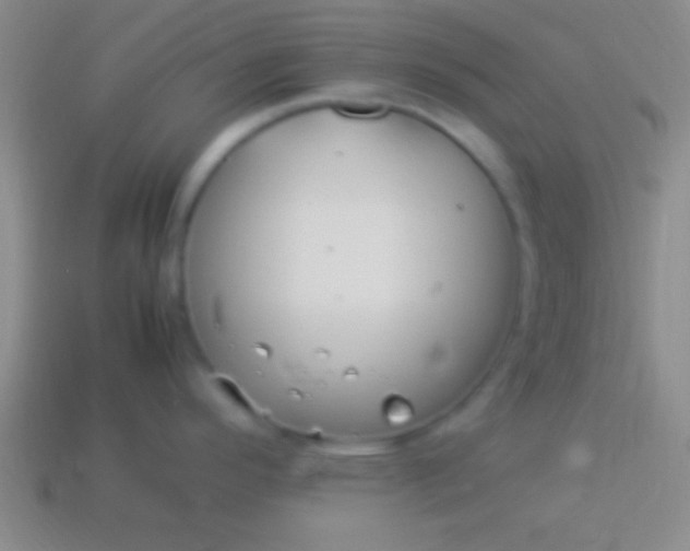 X0000114221296200910231435