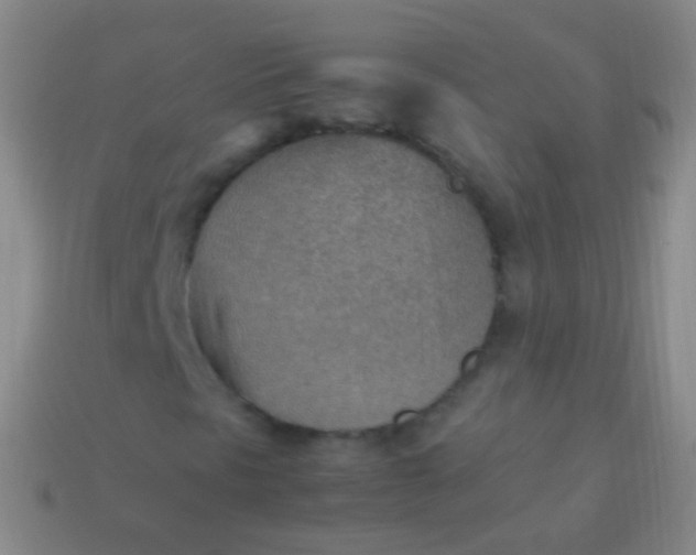 X0000114221297200910231434