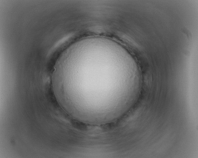 X0000114221302200910231435