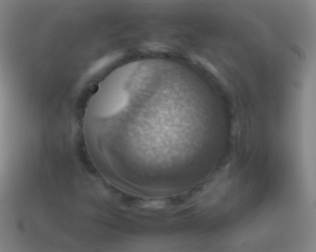 X0000114221303200910231435