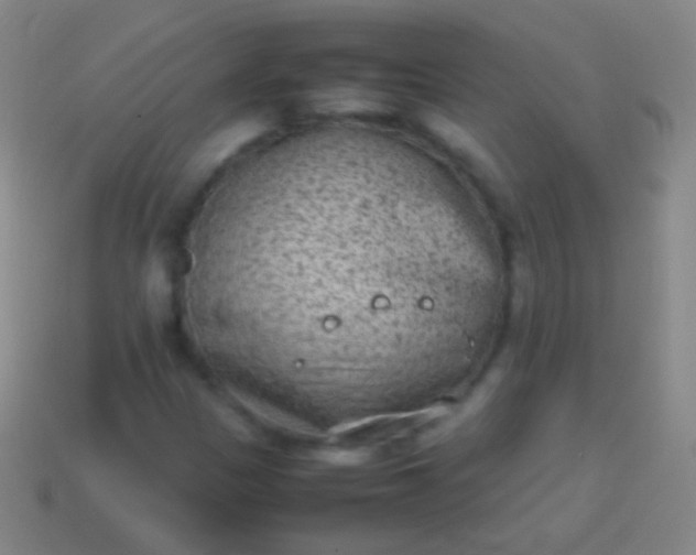 X0000114221305200910231435