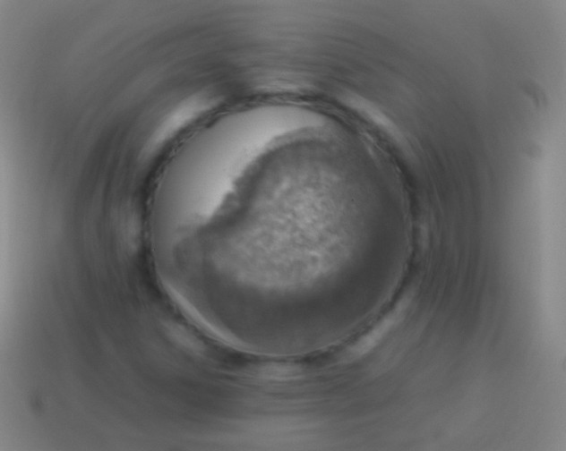 X0000114221306200910231435