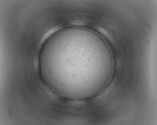 X0000114221307200910231435