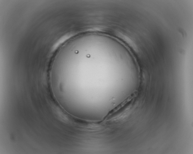 X0000114221308200910231435