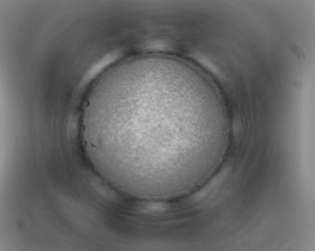 X0000114221309200910231435