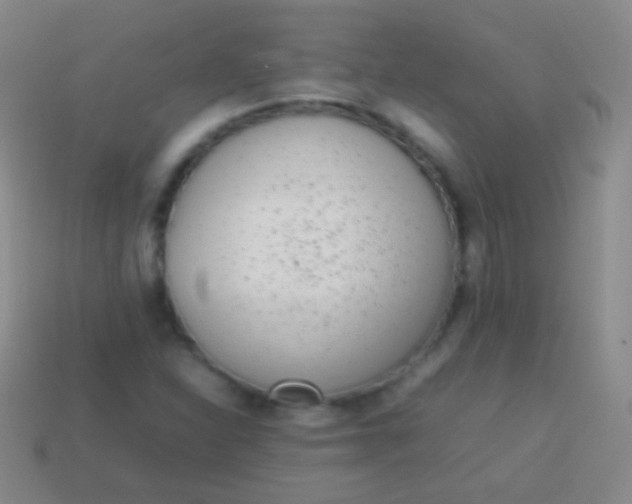 X0000114221310200910231435