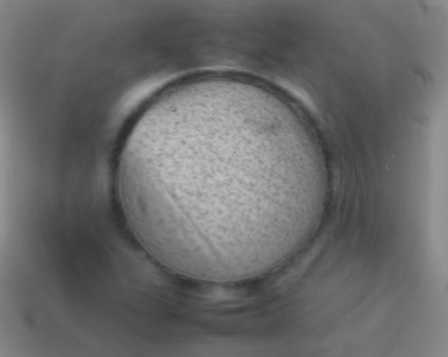 X0000114221311200910231435