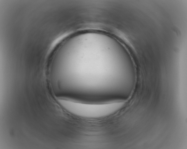 X0000114221312200910231435