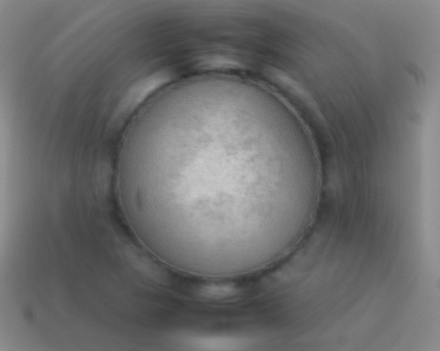 X0000114221313200910231435