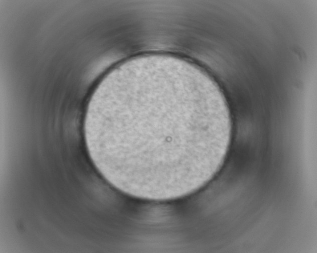 X0000114221314200910231435