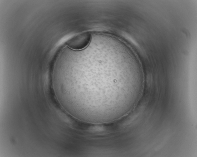 X0000114221315200910231435