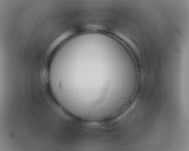 X0000114221317200910231435