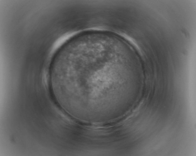 X0000114221319200910231435