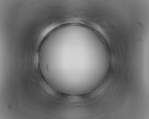 X0000114221320200910231435