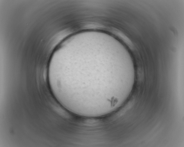 X0000114221322200910231435