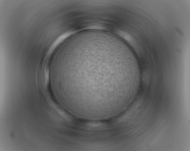 X0000114221323200910231435