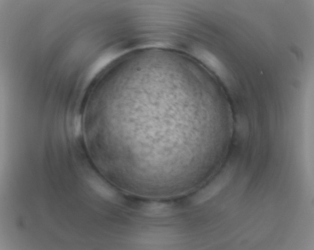 X0000114221324200910231435