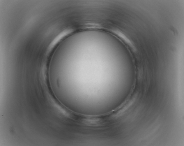 X0000114221325200910231435