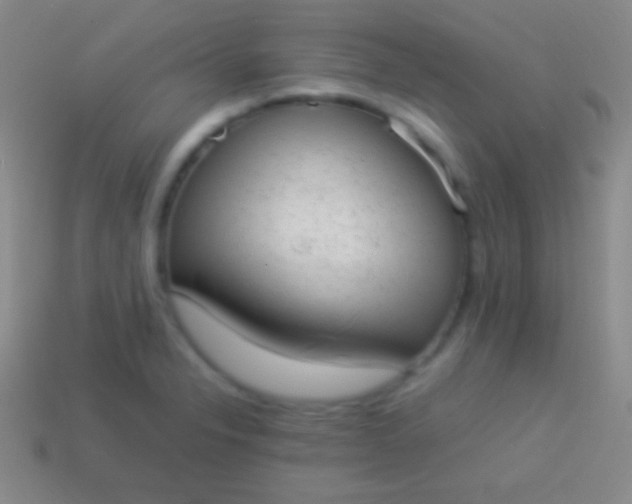 X0000114221326200910231435