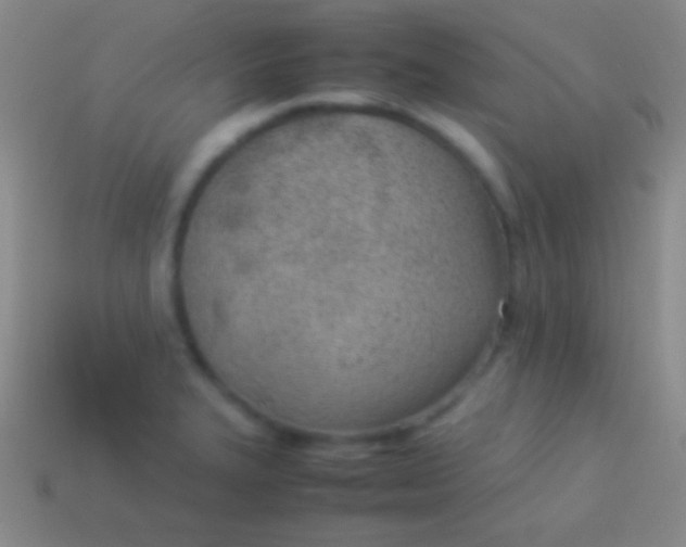 X0000114221327200910231435