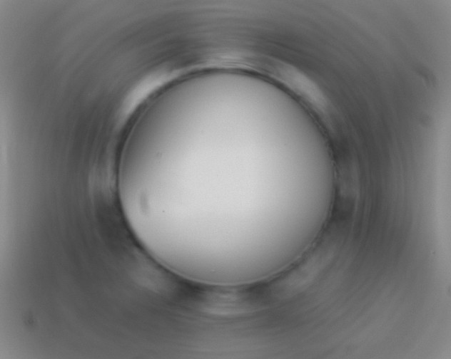 X0000114221328200910231435