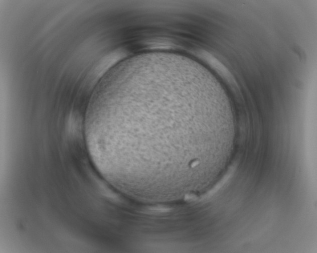 X0000114221329200910231435