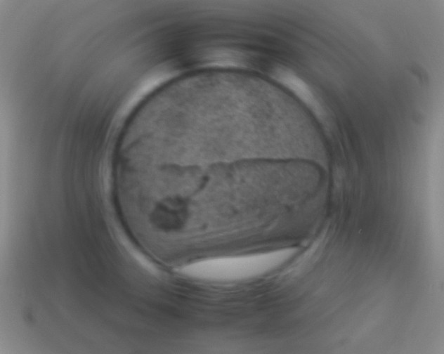 X0000114221331200910231435