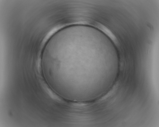 X0000114221332200910231435