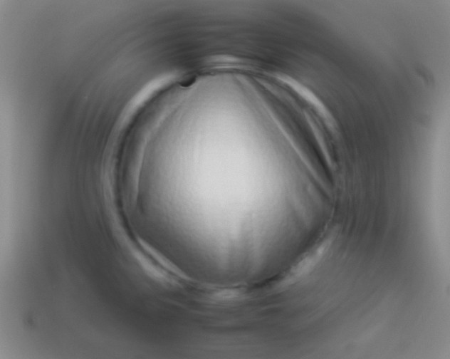 X0000114221333200910231435