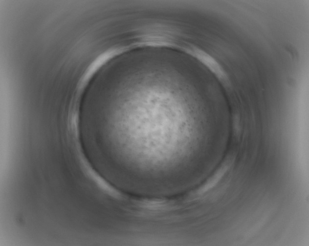 X0000114221334200910231435