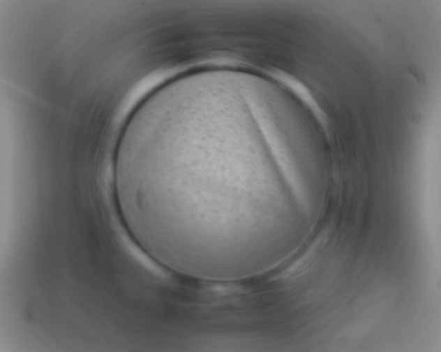 X0000114221335200910231435