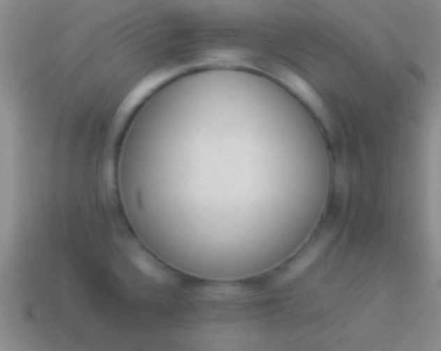 X0000114221336200910231435