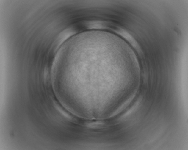 X0000114221337200910231435