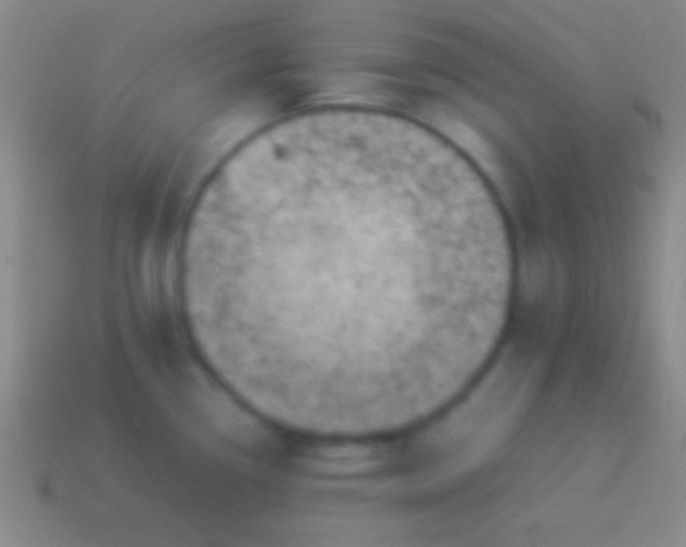 X0000114221338200910231435