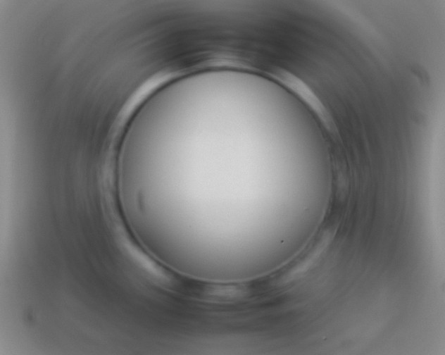 X0000114221339200910231435