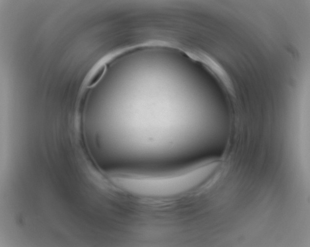 X0000114221340200910231435