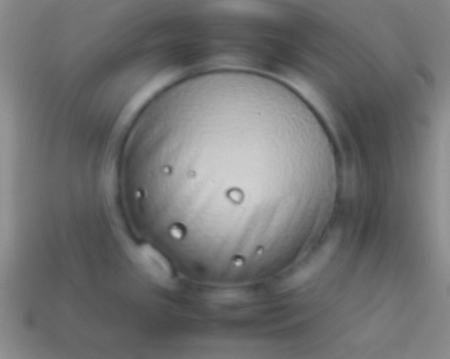 X0000114221341200910231435