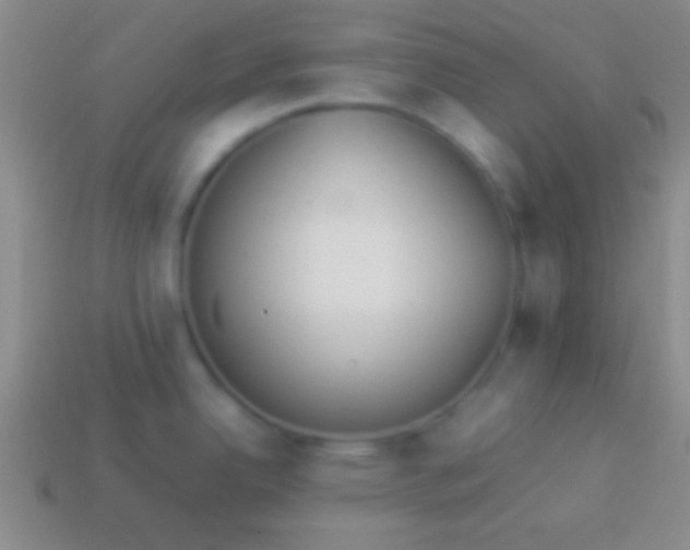 X0000114221342200910231435