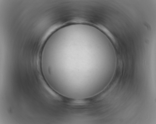 X0000114221343200910231435