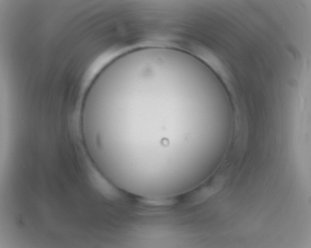 X0000114221344200910231435