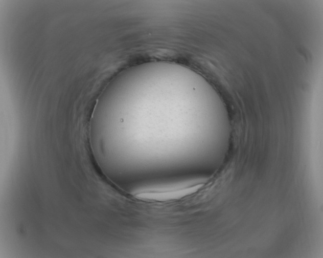 X0000114221345200910231434