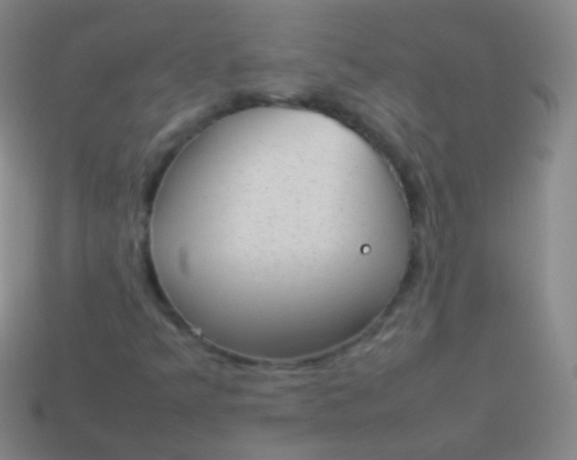 X0000114221349200910231434