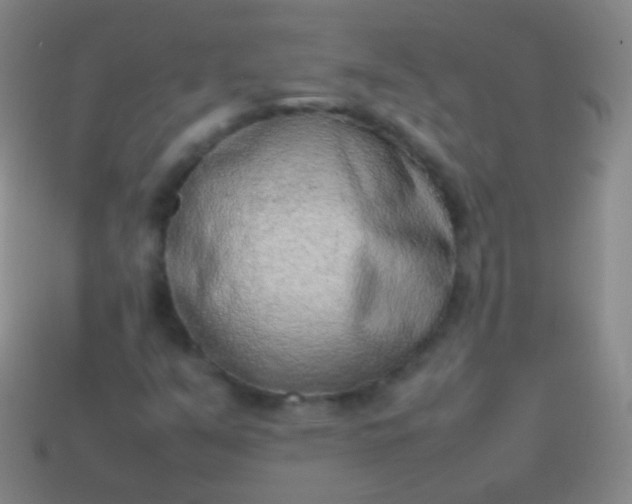 X0000114221351200910231434