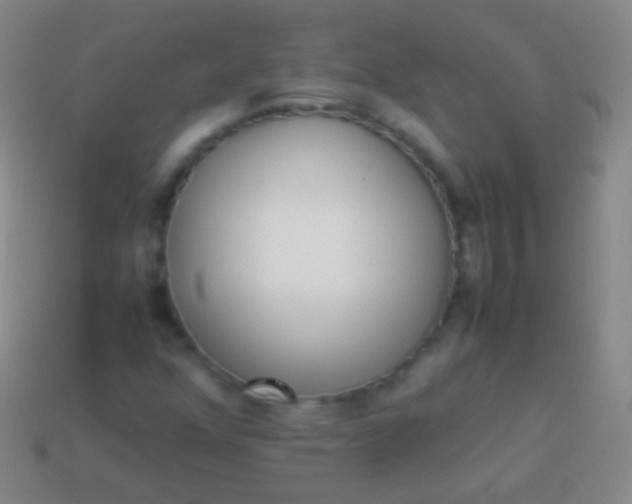 X0000114221352200910231434